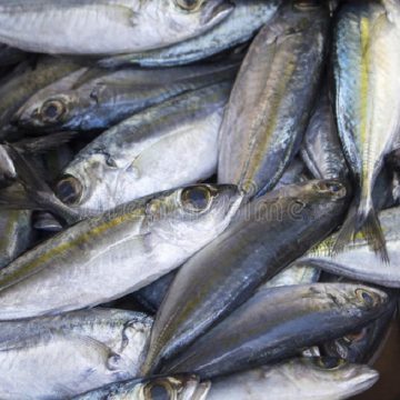 L’INS redoute une flambée des prix du poisson du fait de l’interdiction des importations de Chine, foyer du Coronavirus
