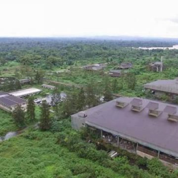Cameroun: Un technopole industriel va être érigé sur le site de l’ex-Cellucam a Edéa (Littoral)