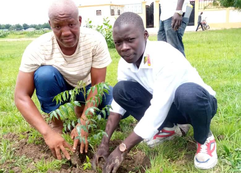 CAMEROUN-ENVIRONNEMENT: MAROUA SE VOIT EN VERT