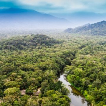 RWANDA : KIGALI ACCUEILLE LES EXPERTS DE LA CONSERVATION FORESTIÈRE
